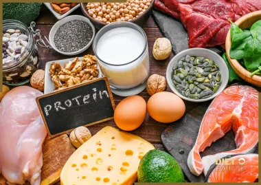 PROTEIN 1 1